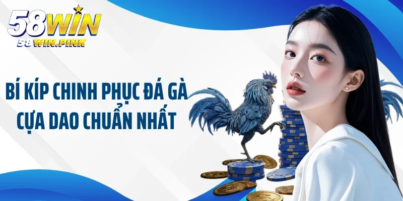 Đá Gà Cựa Dao 58Win - Sân Chơi Đến Từ Nền Tảng Uy Tín 4 Bí kíp chinh phục đá gà cựa dao chuẩn nhất