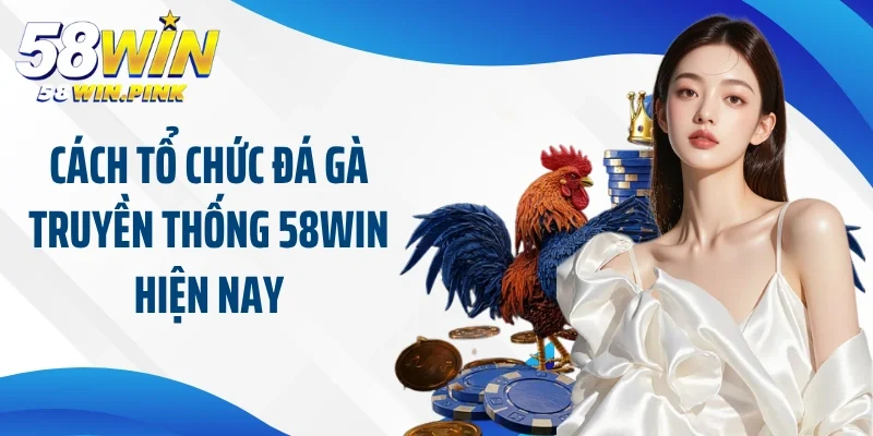 Đá Gà Truyền Thống 58Win - Khám Phá Tài Năng Của Chiến Kê 3 Cách tổ chức đá gà truyền thống 58Win hiện nay