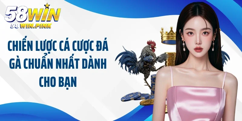 Chiến Lược Cá Cược Đá Gà Chuẩn Chỉ Từ Các Cao Thủ 3 Chiến lược cá cược đá gà chuẩn nhất dành cho bạn