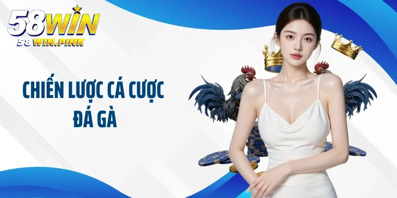 chiến lược cá cược đá gà