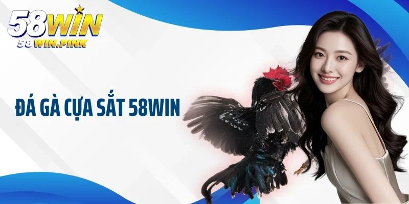 đá gà cựa sắt 58Win
