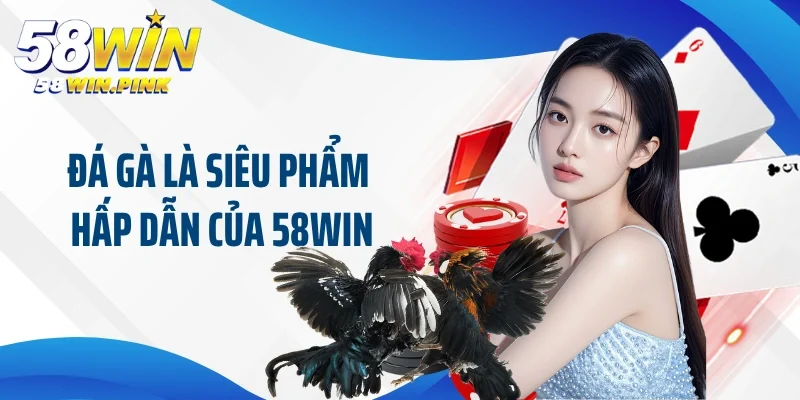 Đá gà là siêu phẩm hấp dẫn của 58win