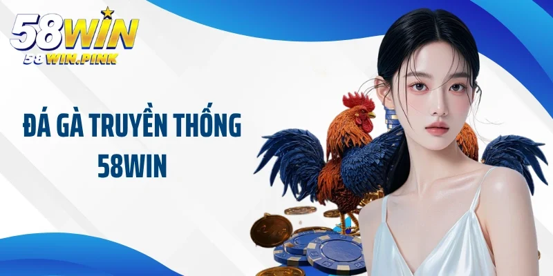 đá gà truyền thống 58Win