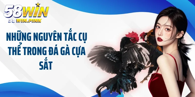 Những nguyên tắc cụ thể trong đá gà cựa sắt 